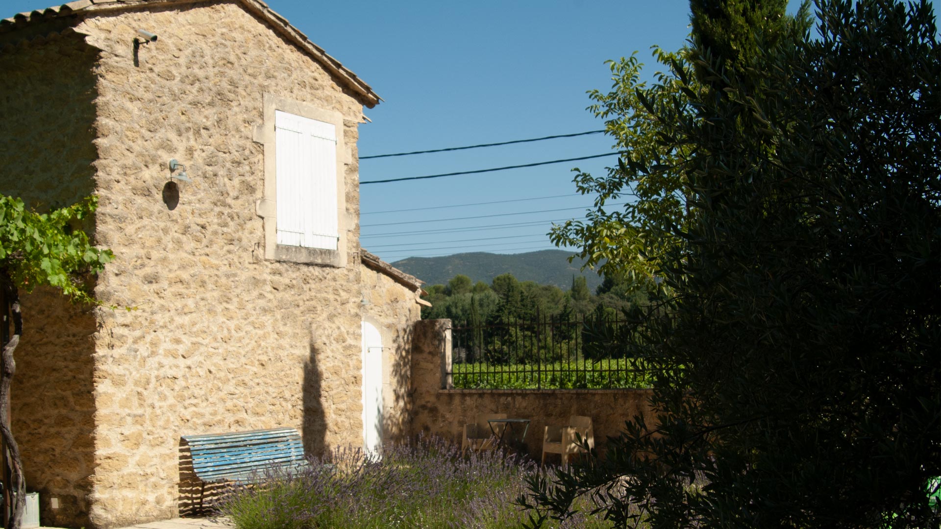 Terras aan de zijkant uitzicht over wijngaard en het Luberon gebergte